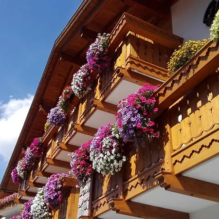 Hotel Al Viel 3*